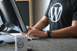 Création de thèmes par un expert WordPress